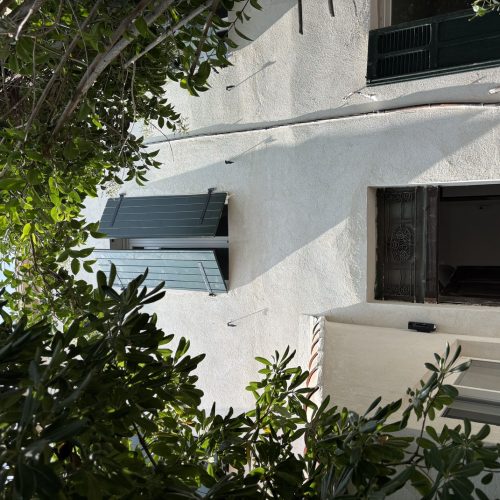 IMG_9292 2